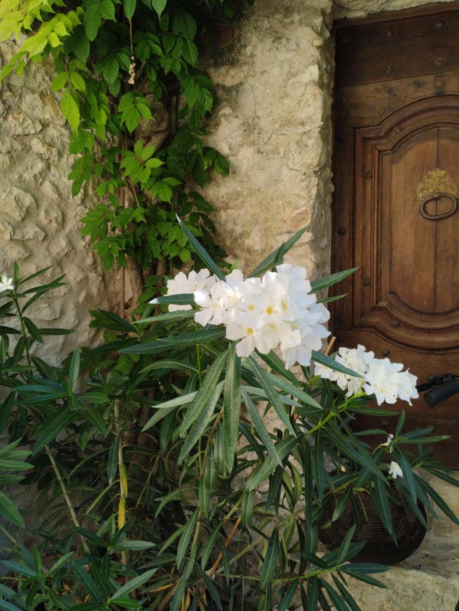 Dions Chez Les Filles B&B 외부 사진